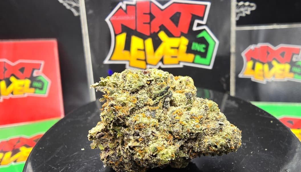 Girl Scout Cookies