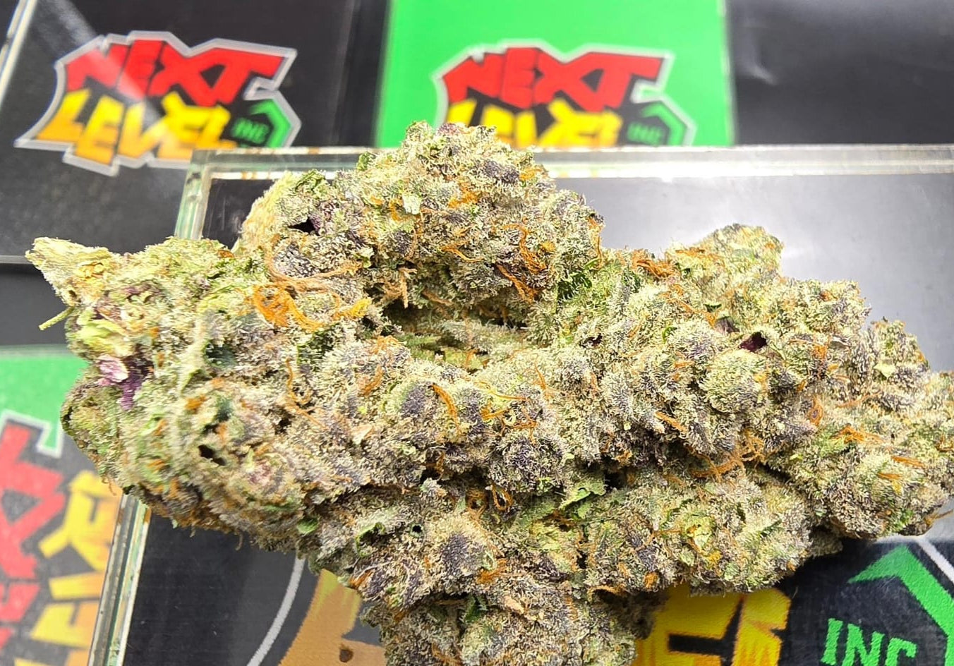 Berry Mango