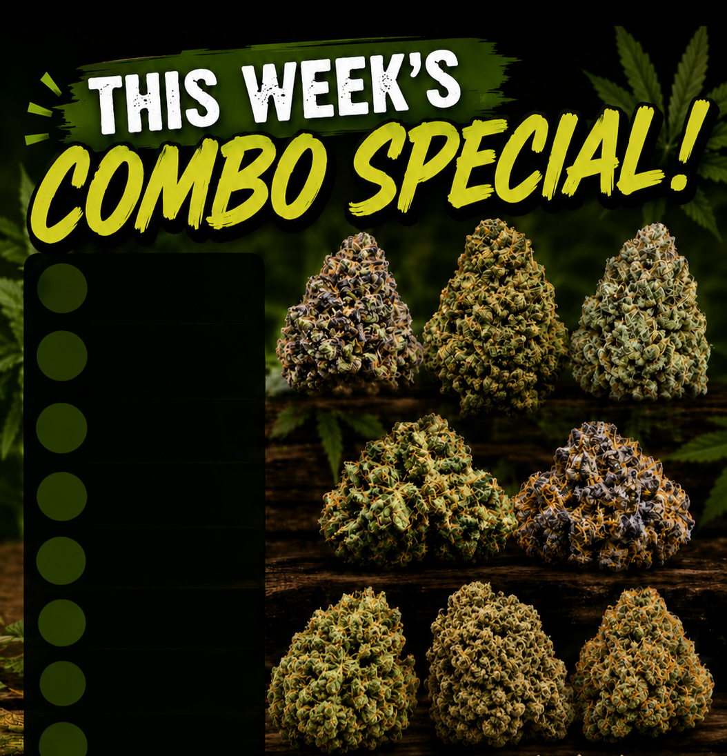 Premium Outdoor Combo