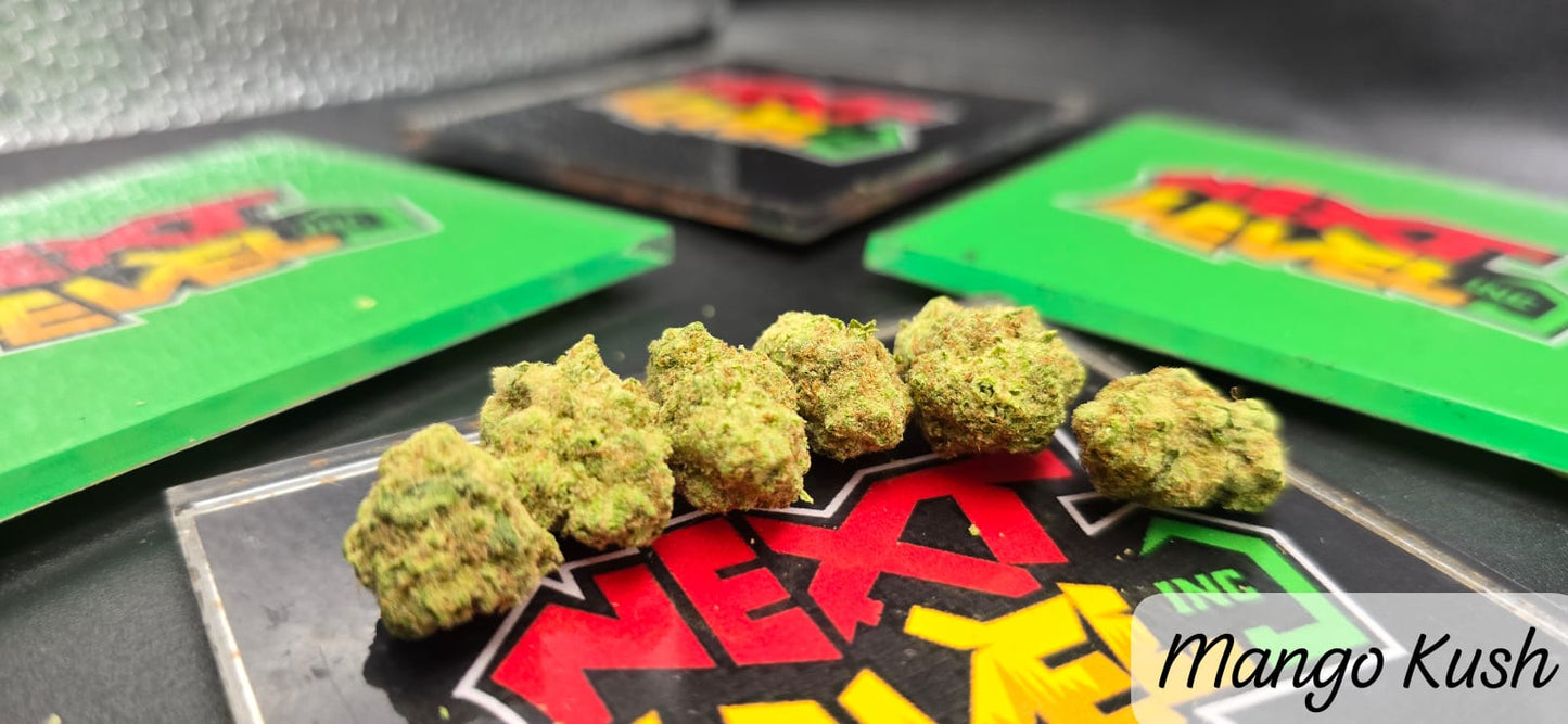 Mango Kush