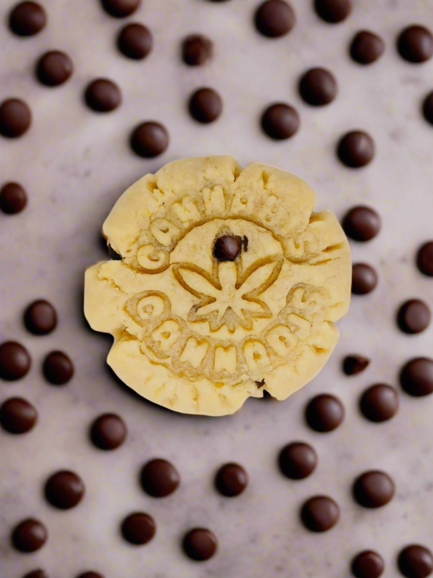 ChocoBuzz