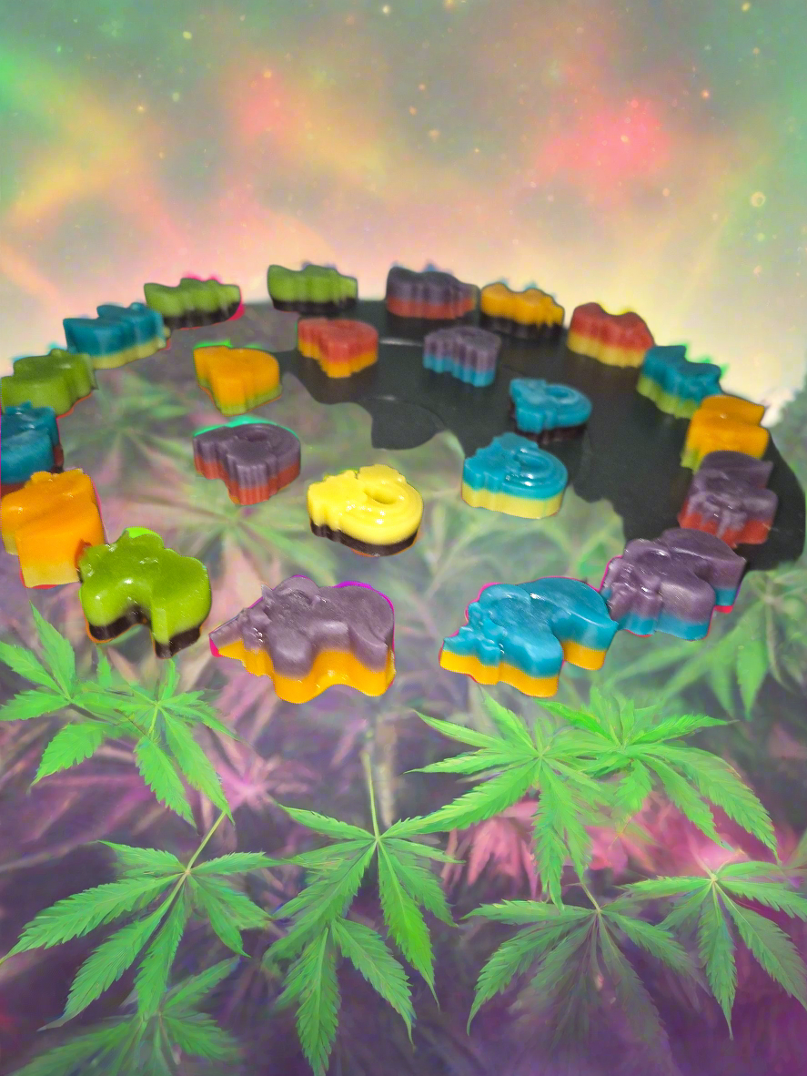 Rainbow & Unicorn Duo