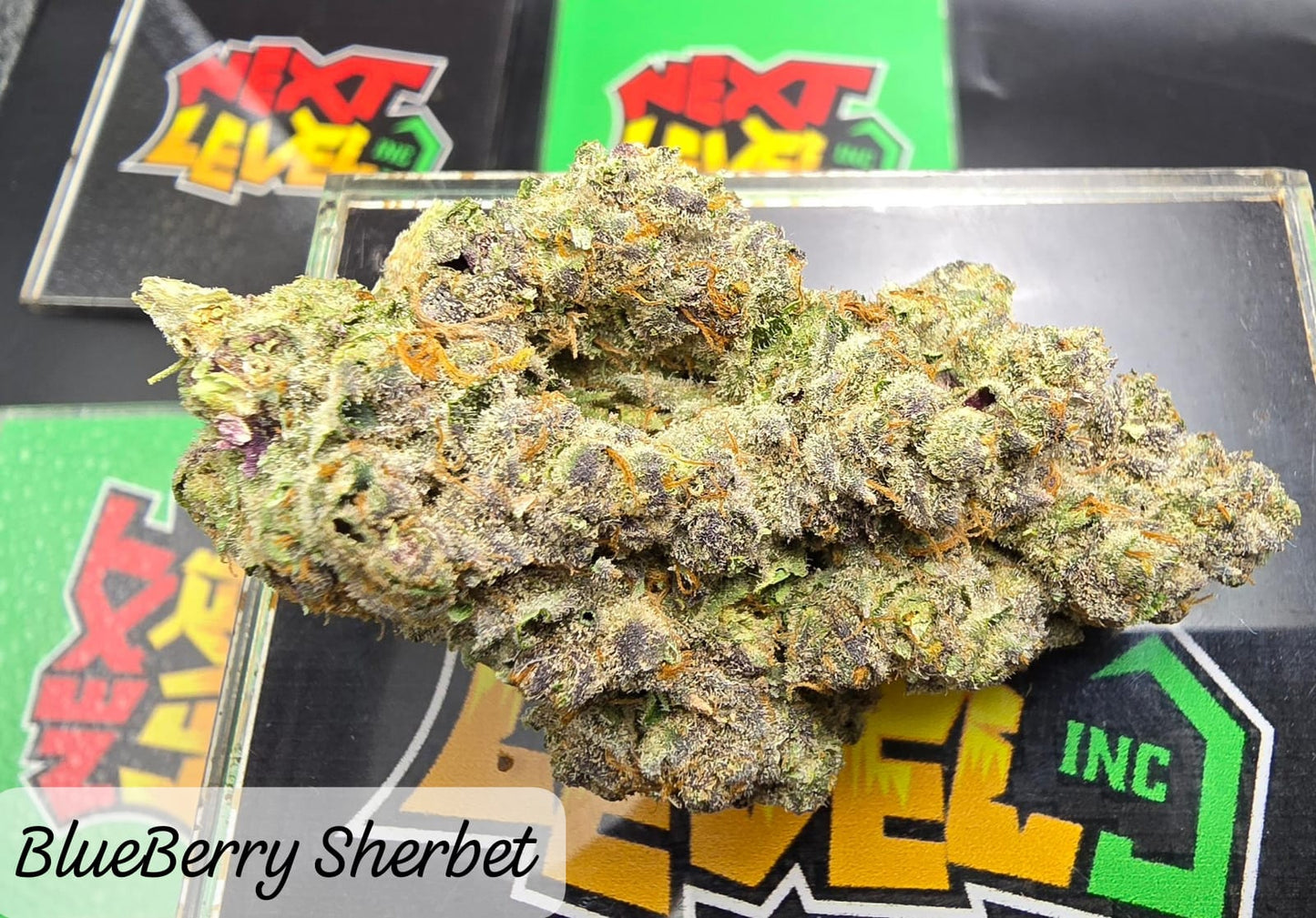 Blueberry Sherbet