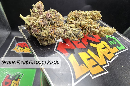 Grape Fruit Orange Kush